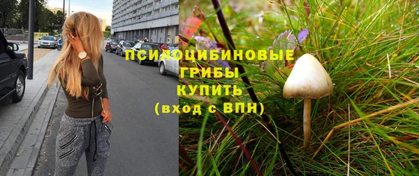 ПСИЛОЦИБИНОВЫЕ ГРИБЫ Зеленокумск