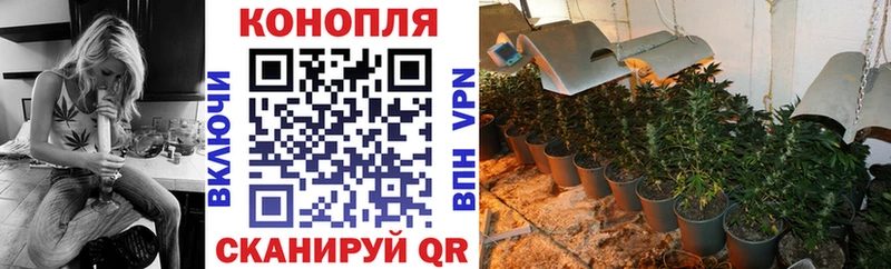 Шишки марихуана планчик  Купить закладки  Еманжелинск 